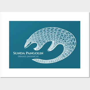 Pangolin with Common and Latin Names - dark blue and white animal design Posters and Art